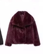 Manteau d'hiver en peluche pour femmes